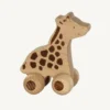 Goki duwdier safari giraffe